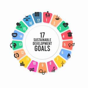 the 17 us sdgs