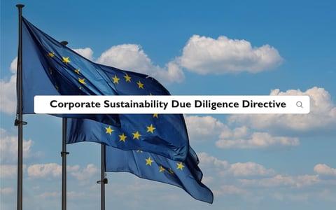 corporate sustainability due diligence directive