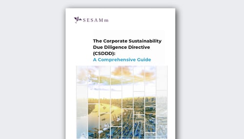 The Corporate Sustainability Due Diligence Directive (CSDDD): A Comprehensive Guide