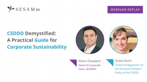 Webinar Replay: CSDDD Demystified: A Practical Guide for Corporate Sustainability