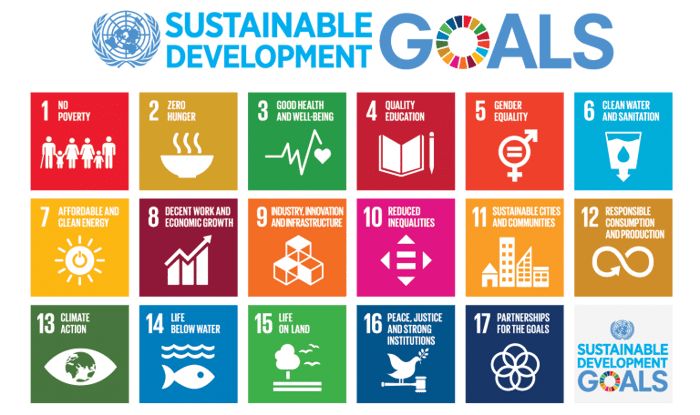 The UN’s 17 Sustainable Development Goals