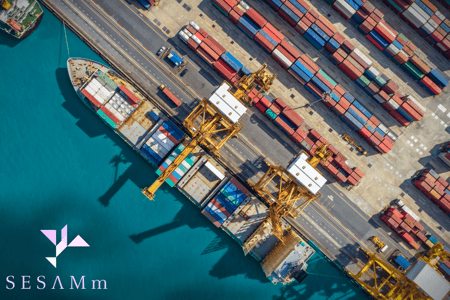 supply chain and ESG: shein and temu