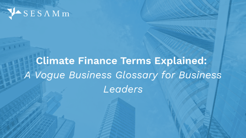 Vogue business climate finance glossary